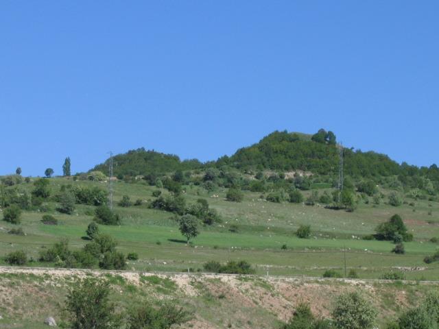 WhatsApp Image 2025-12-16 at 09.07.57  4 .jpeg