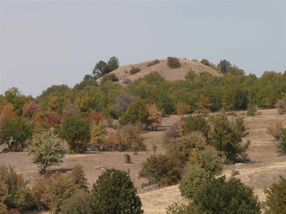 WhatsApp Image 2025-12-16 at 09.07.57  3 .jpeg