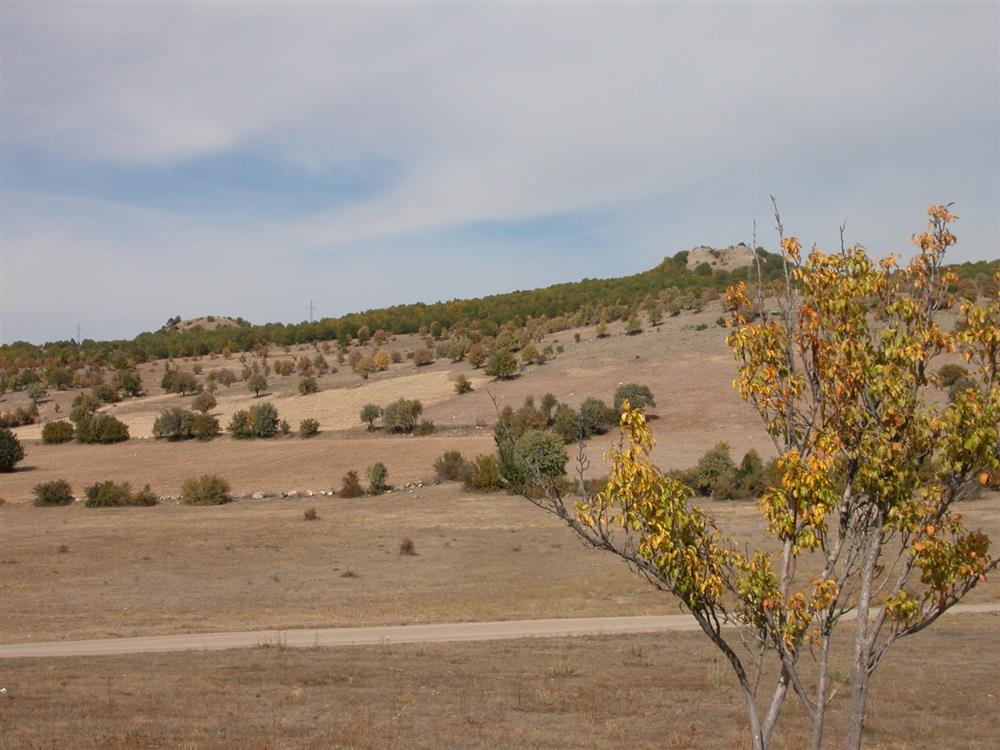 WhatsApp Image 2025-12-16 at 09.07.57  2 .jpeg