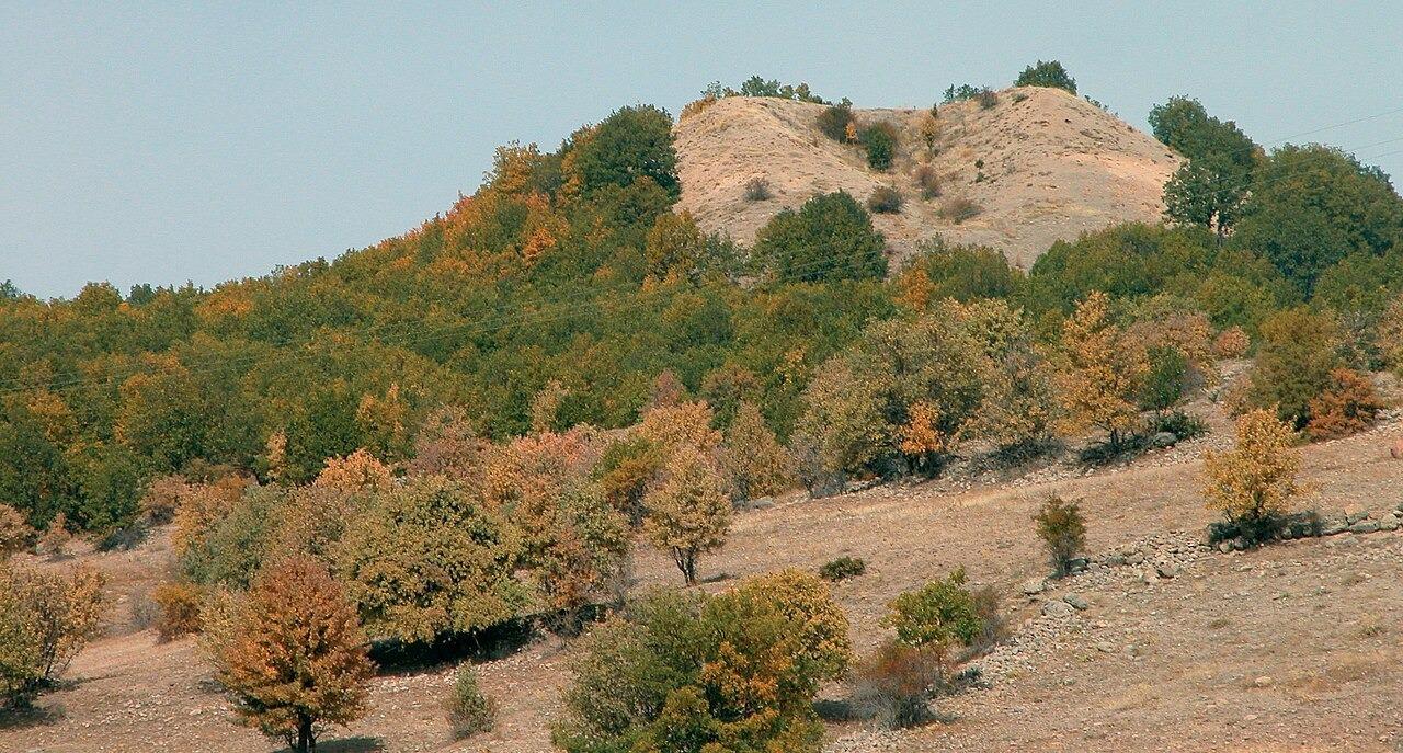 WhatsApp Image 2025-12-16 at 09.07.57  1 .jpeg