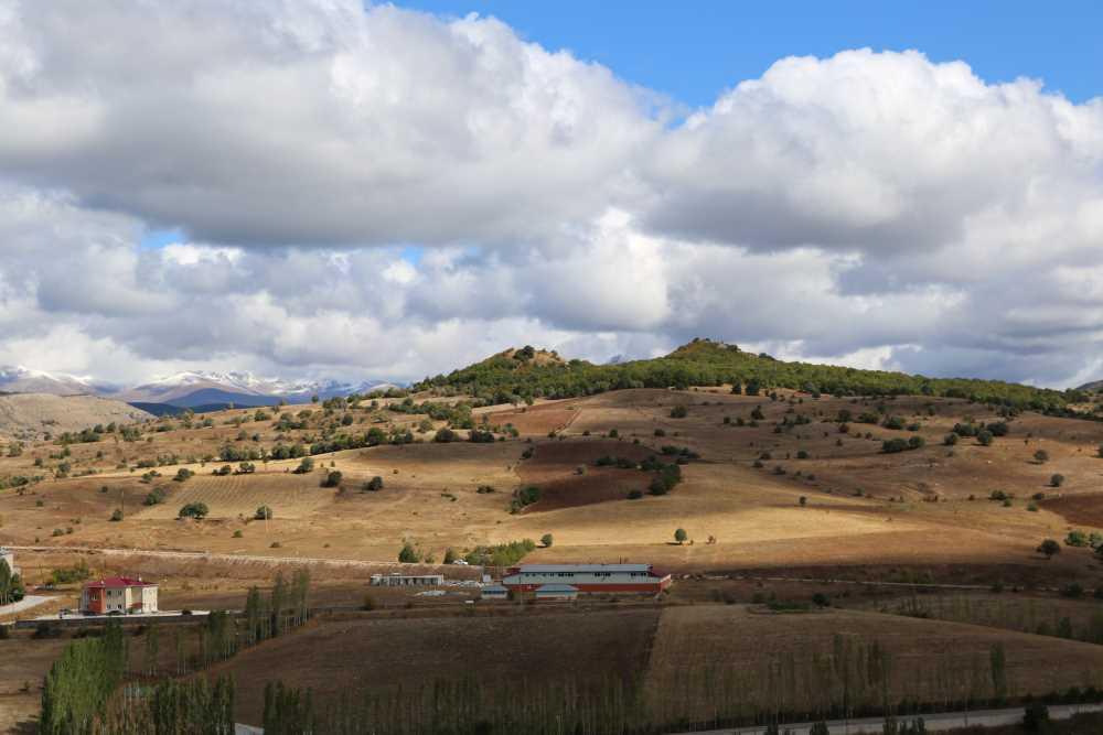 WhatsApp Image 2025-12-16 at 09.07.57.jpeg